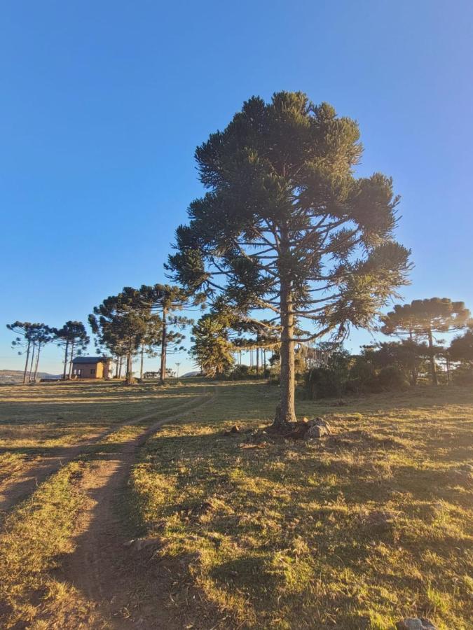 Cerro Leao Estancia- Chale Chalet Bom Jardim da Serra